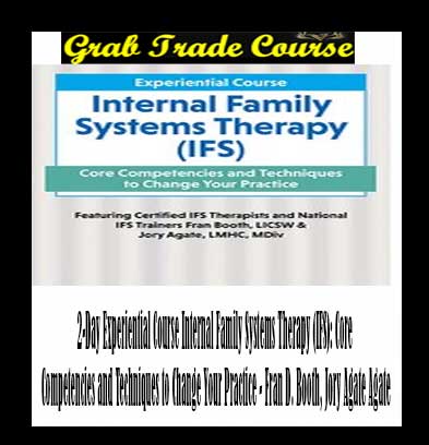 2-Day Experiential Course Internal Family Systems Therapy (IFS)