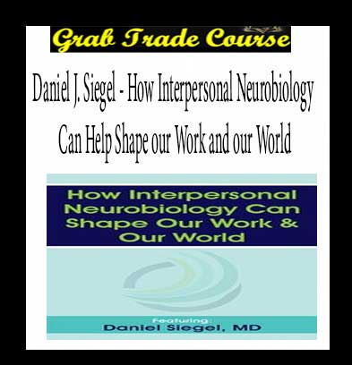 How Interpersonal Neurobiology Can Help Shape our Work and our World