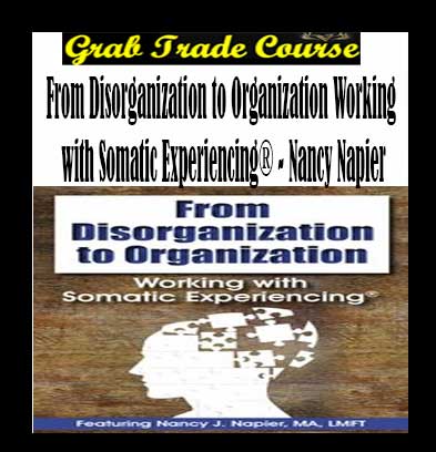 From Disorganization to Organization Working with Somatic Experiencing
