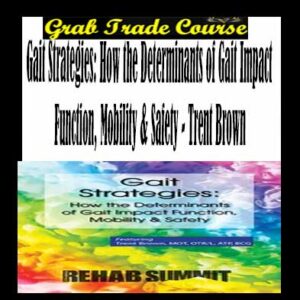 Gait Strategies: How the Determinants of Gait Impact Function, Mobility & Safety