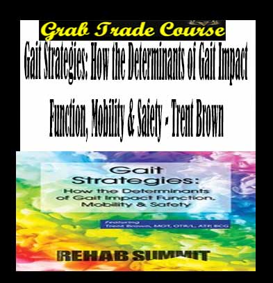 Gait Strategies: How the Determinants of Gait Impact Function, Mobility & Safety