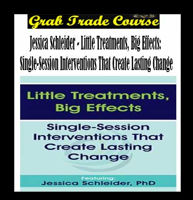 Little Treatments, Big Effects: Single-Session Interventions That Create Lasting Change By Jessica Schleider