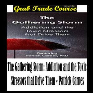The Gathering Storm: Addiction and the Toxic Stressors that Drive Them