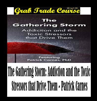 The Gathering Storm: Addiction and the Toxic Stressors that Drive Them