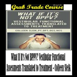 What If It’s Not BPPV? Vestibular Functional Assessments Translated to Treatment