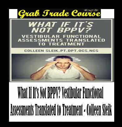 What If It’s Not BPPV? Vestibular Functional Assessments Translated to Treatment