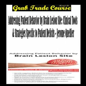 Addressing Patient Behavior by Brain Lesion Site: Clinical Tools & Strategies Specific to Patient Deficits