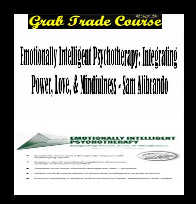 Emotionally Intelligent Psychotherapy: Integrating Power, Love, & Mindfulness