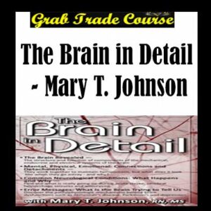The Brain in Detail download