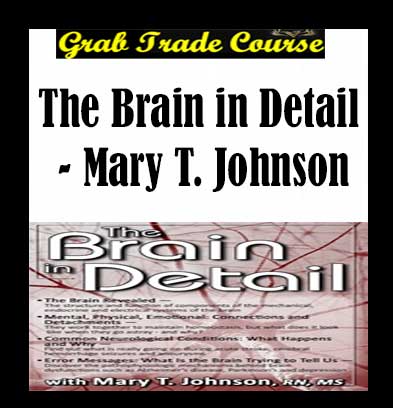 The Brain in Detail download