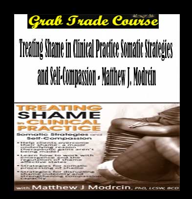 Treating Shame in Clinical Practice download