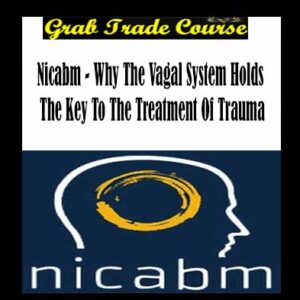 NICABM - Why The Vagal System Holds The Key To The Treatment Of Trauma download