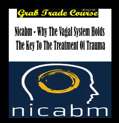 NICABM - Why The Vagal System Holds The Key To The Treatment Of Trauma download