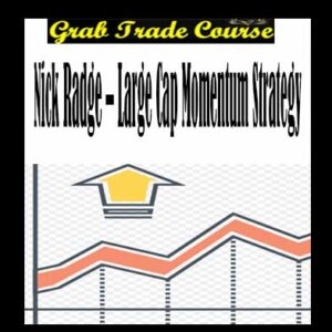 Large Cap Momentum Strategy Digital