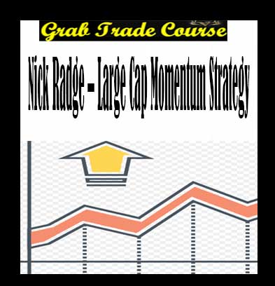 Large Cap Momentum Strategy Digital