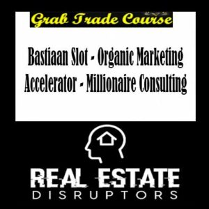 Bastiaan Slot - Organic Marketing Accelerator - Millionaire Consulting