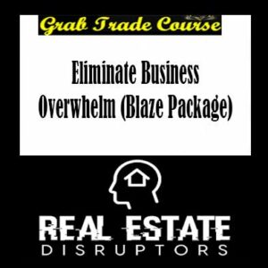 Eliminate Business Overwhelm (Blaze Package)