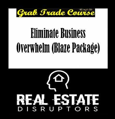 Eliminate Business Overwhelm (Blaze Package)