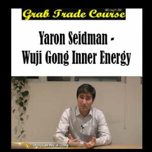 Yaron Seidman - Wuji Gong Inner Energy