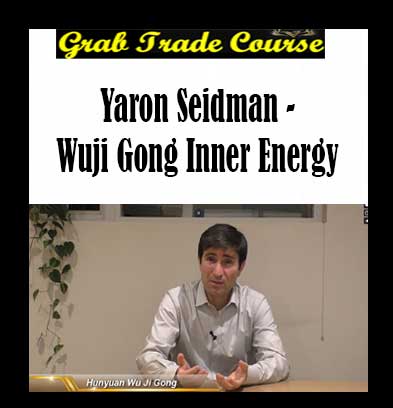 Yaron Seidman - Wuji Gong Inner Energy